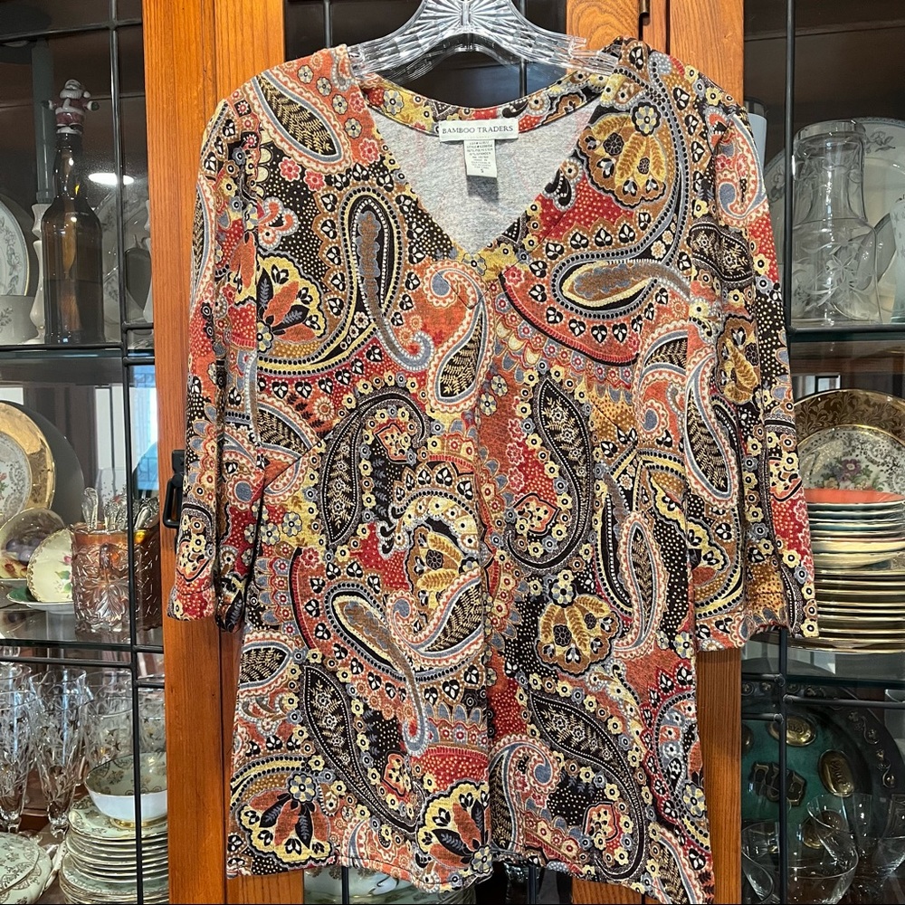 Bamboo Traders V neck top